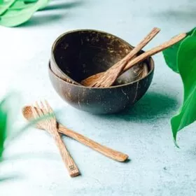 Coconut Bowl